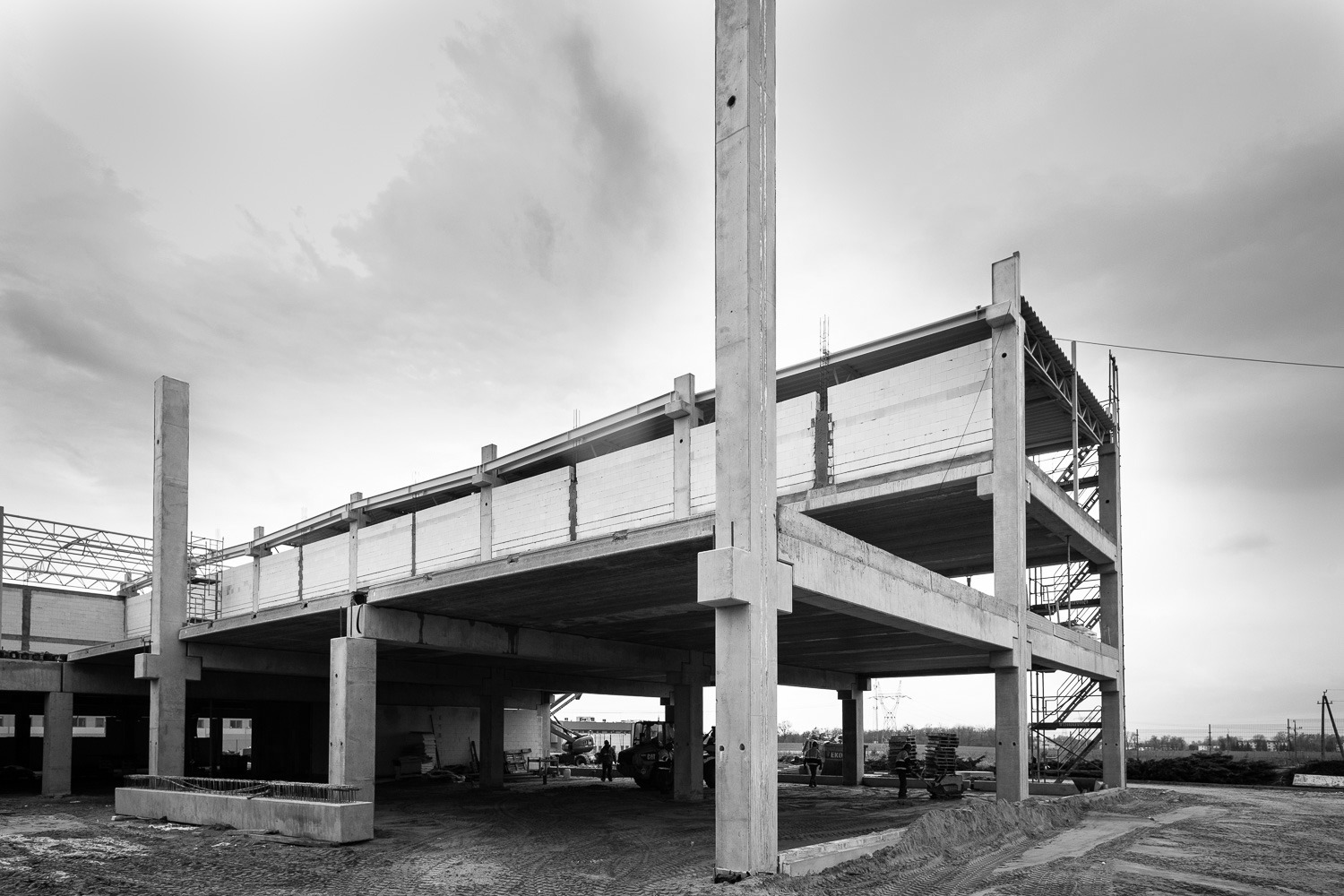 IMG 0177 1000 px photoaidcom greyscale